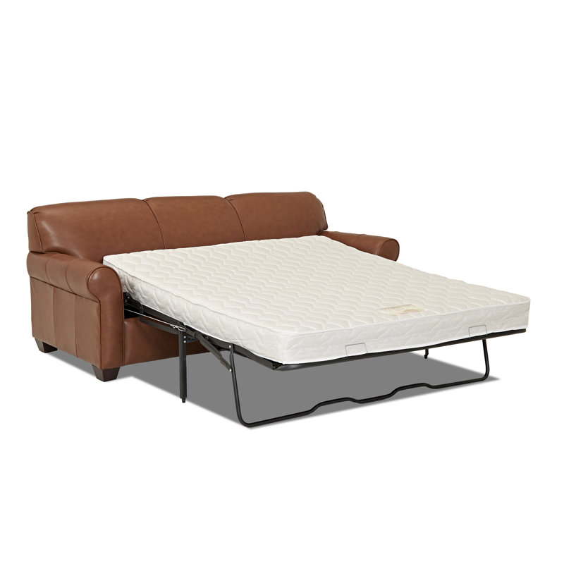 Wayfair Custom Upholstery™ Jennifer Leather Sofa Bed & Reviews Wayfair